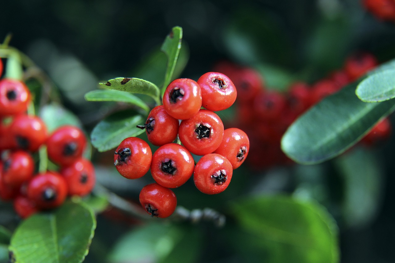 特的风格和 特的风格和