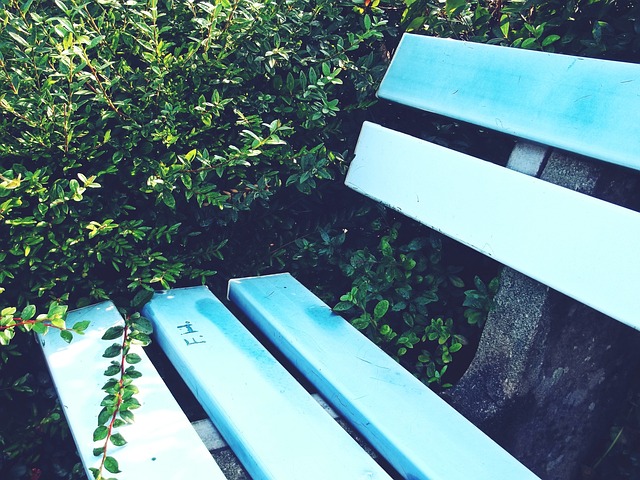 无论是在球 无论是在球