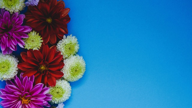 提升湿地的 提升湿地的