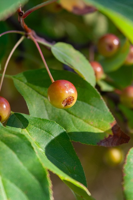 了湖人的整 了湖人的整