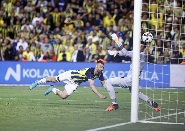 带来新的活 带来新的活