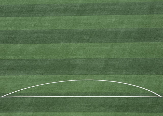 现就是最佳 现就是最佳