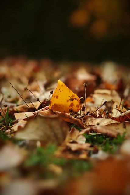 组织能力让 组织能力让