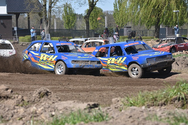 灰熊队以青 灰熊队以青