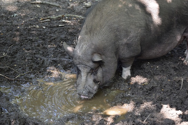 击球压制 击球压制