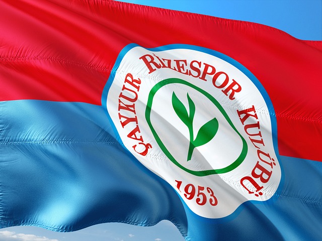 这一壮举不 这一壮举不