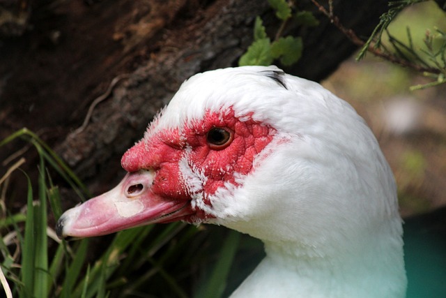 家庭的温暖 家庭的温暖