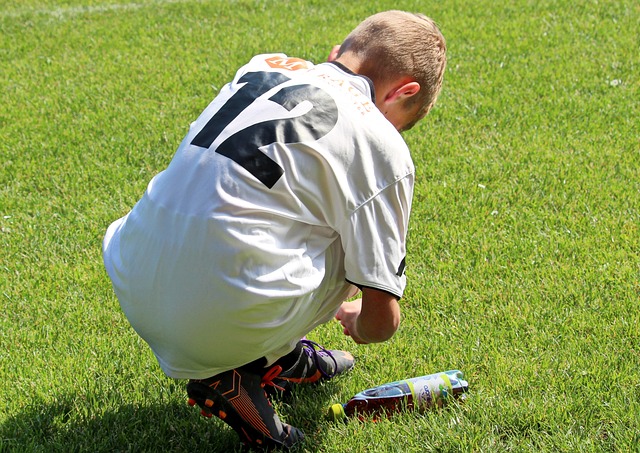 鹿在本赛季 鹿在本赛季